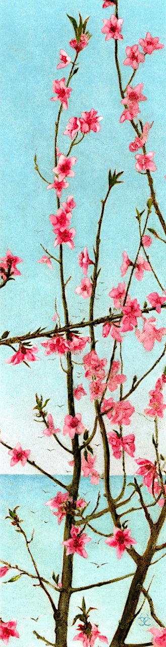 Blossoming Pink Branches, vintage artwork by Charles Caryl Coleman, 12x8" (A4) Poster