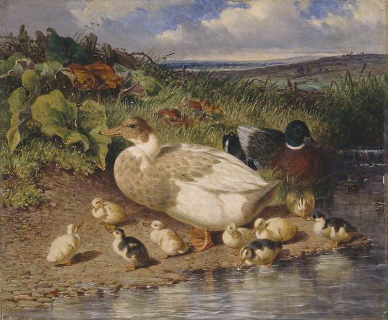 Ducks by  a Stream, vintage artwork by John Frederick Herring, Sr, A3 (16x12") Poster Print