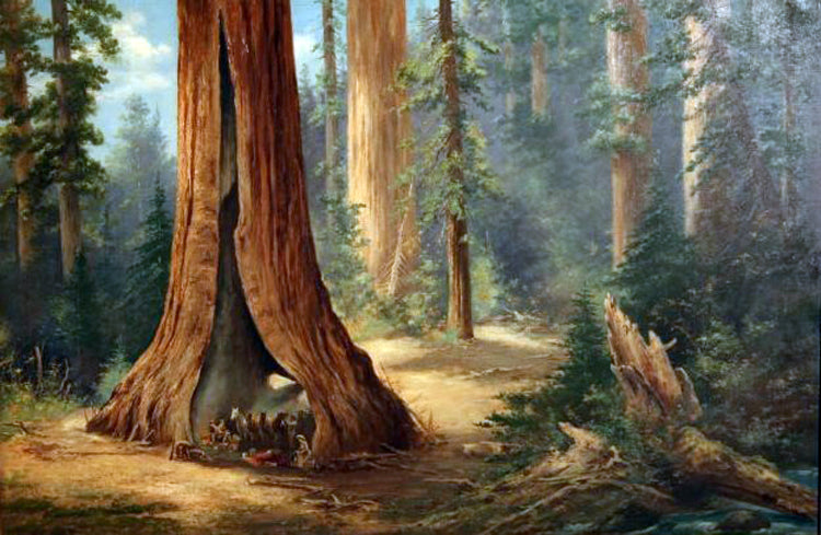 Sequoia, vintage artwork by Feodor von Luerzer, 12x8" (A4) Poster