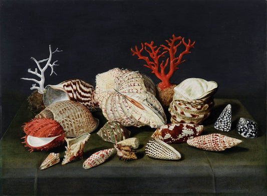 Still life with shells and coral, vintage artwork by Jacques Linard, 12x8" (A4) Poster