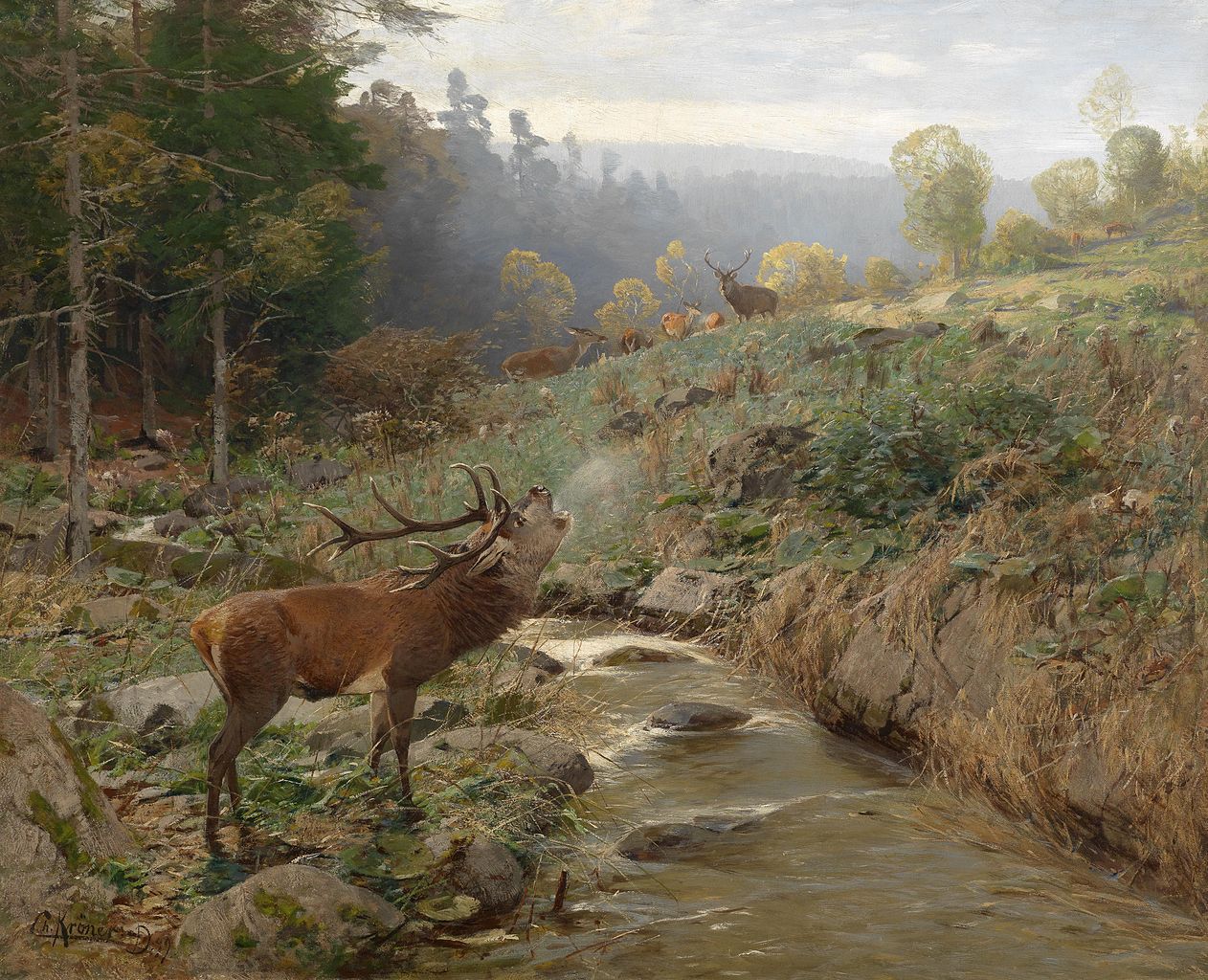 Herd of red deer in a forest clearing, vintage artwork by Christian Johann Kroner, 12x8" (A4) Poster