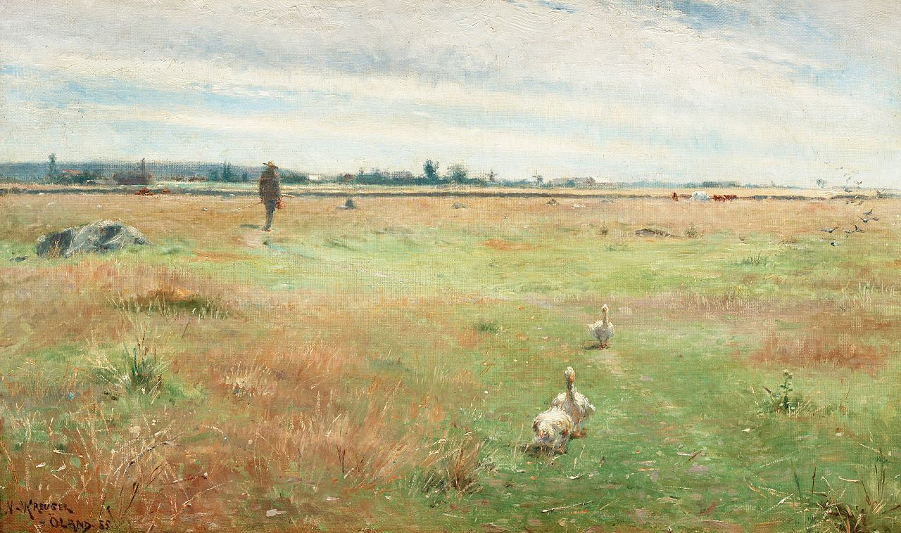 Landscape with geese, Morbylanga by Nils Kreuger,A3(16x12")Poster