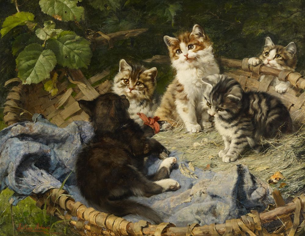Five Kittens in a Basket by Julius Adam,A3(16x12")Poster