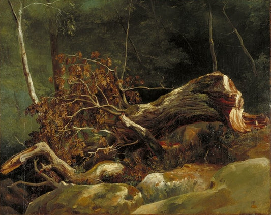 Fallen Branch, vintage artwork by Achille-Etna Michallon, A3 (16x12") Poster Print