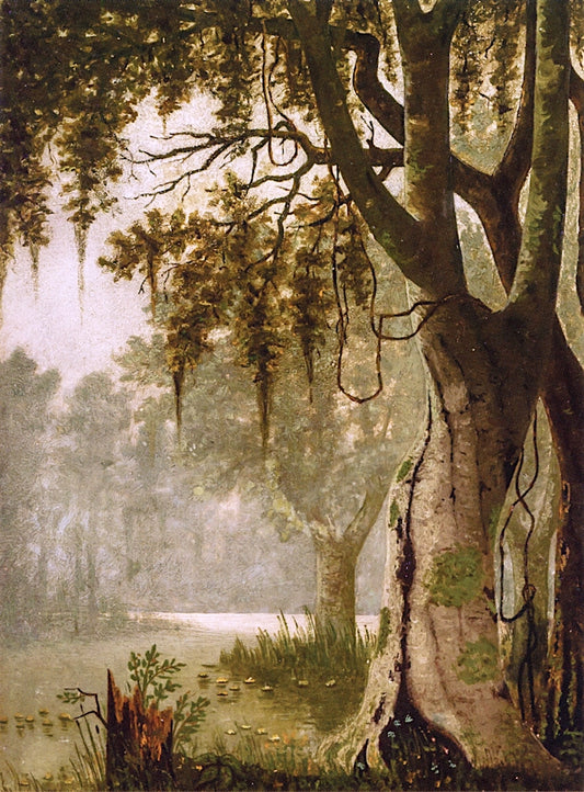 Swamp Scene, vintage artwork by Joseph Rusling Meeker, 12x8" (A4) Poster