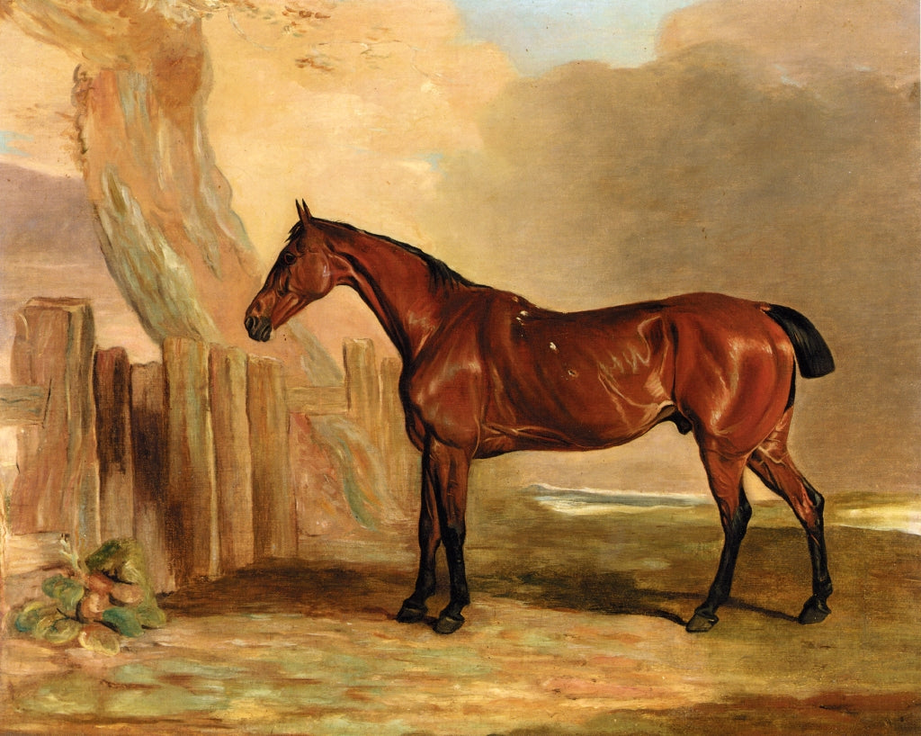 Old Favourite, a Bay Hunter in a Landscape, vintage artwork by Benjamin Marshall, 12x8" (A4) Poster