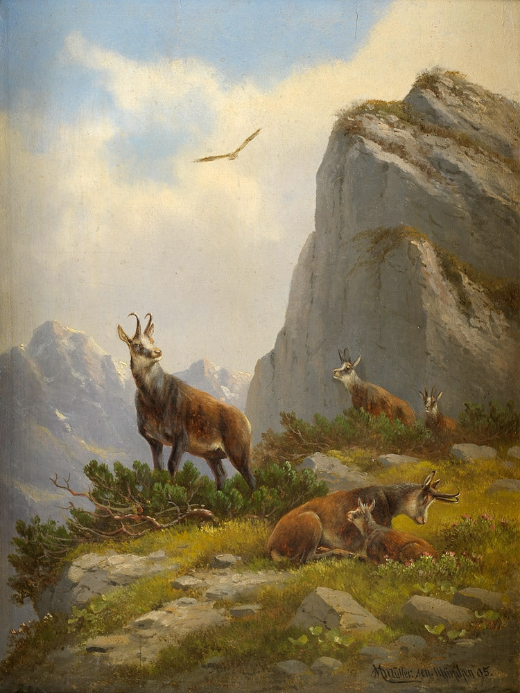 Goats in the Mountains, vintage artwork by Moritz Muller, 12x8" (A4) Poster