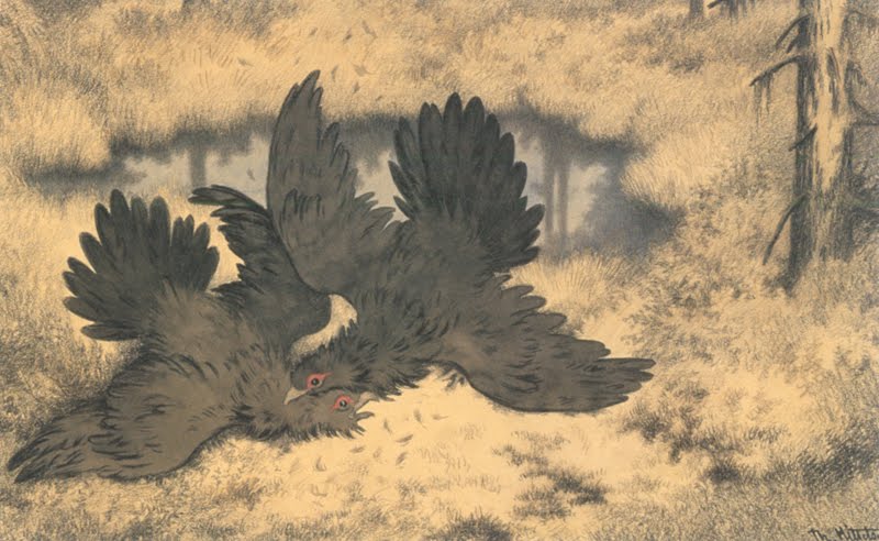 The Troll Birds, vintage artwork by Theodor Severin Kittelsen, 12x8" (A4) Poster