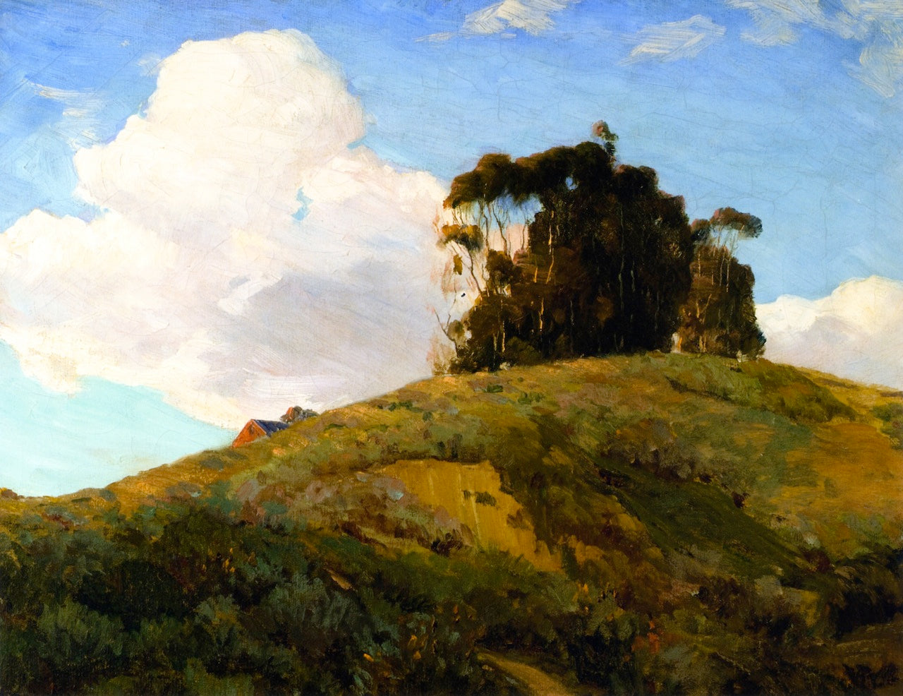 Eucalyptus on a Hill by Jean Mannheim,A3(16x12")Poster