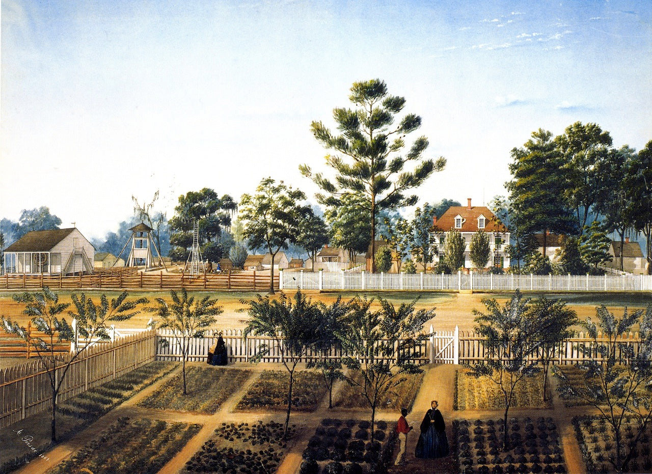 Bois de Fleche, vintage artwork by Marie Adrien Persac, 12x8" (A4) Poster