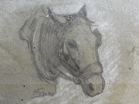Tête de cheval de trait, vintage artwork by Jacques Barthelemy Appian, A3 (16x12") Poster Print