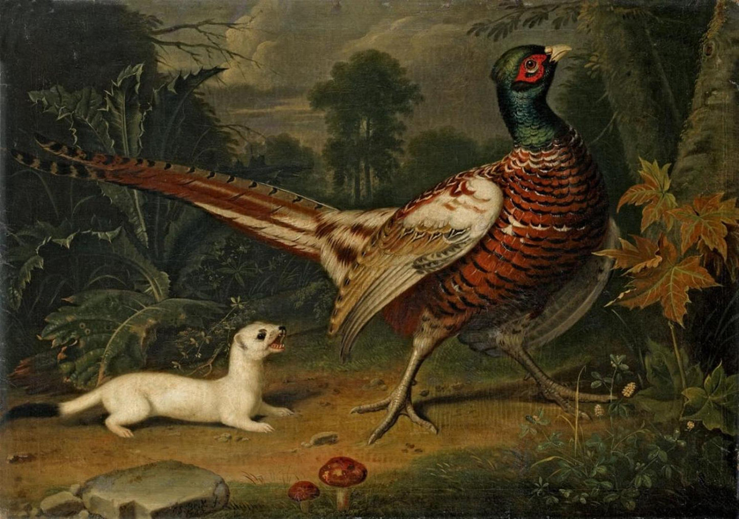 Pheasant and Weasel, vintage artwork by Jakob Samuel Beck, 12x8" (A4) Poster
