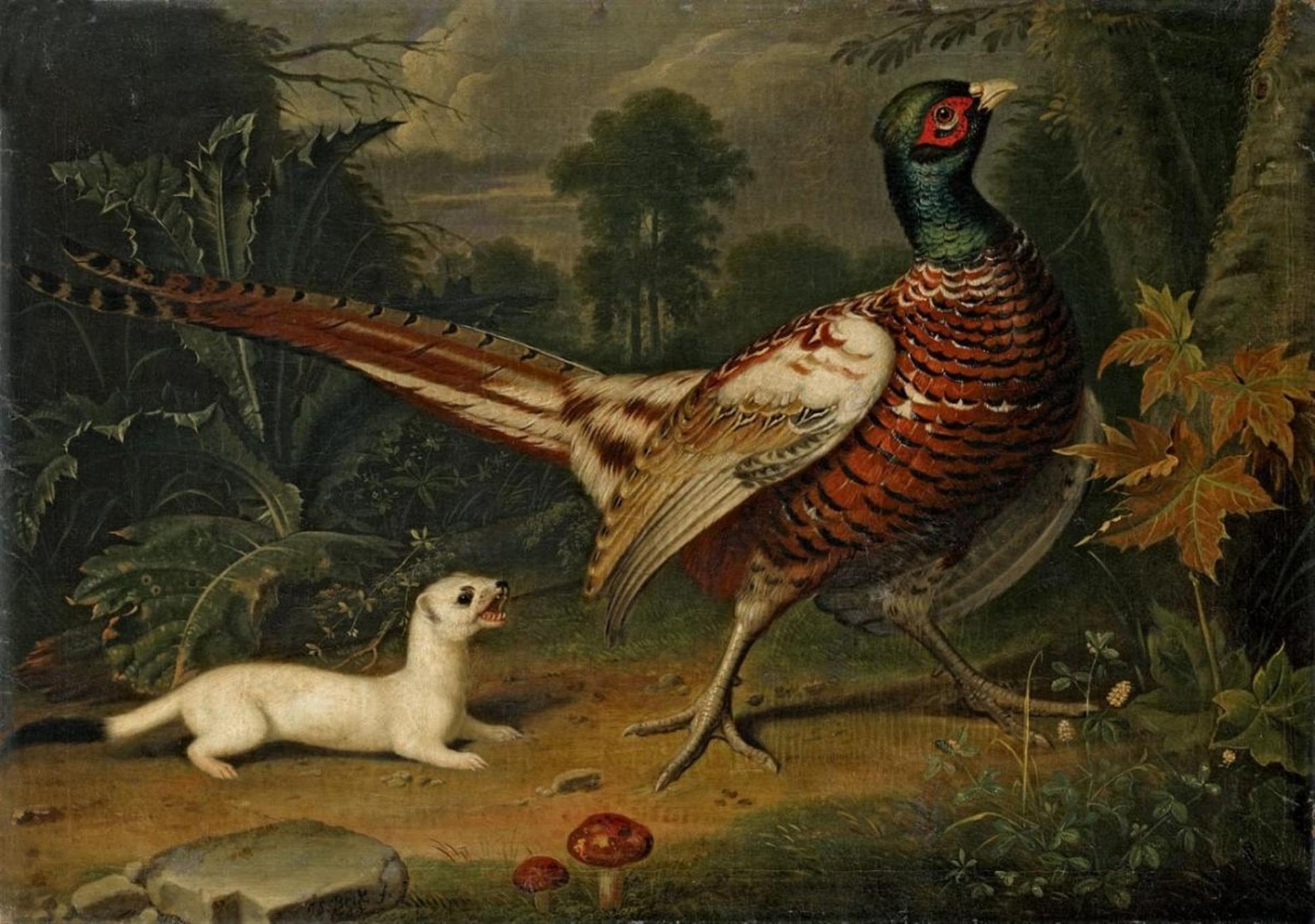 Pheasant and Weasel, vintage artwork by Jakob Samuel Beck, 12x8" (A4) Poster