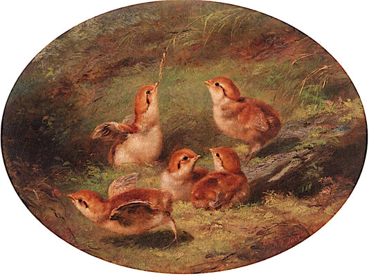 Young Ruffed Grouse, vintage artwork by Arthur Fitzwilliam Tait, A3 (16x12") Poster Print