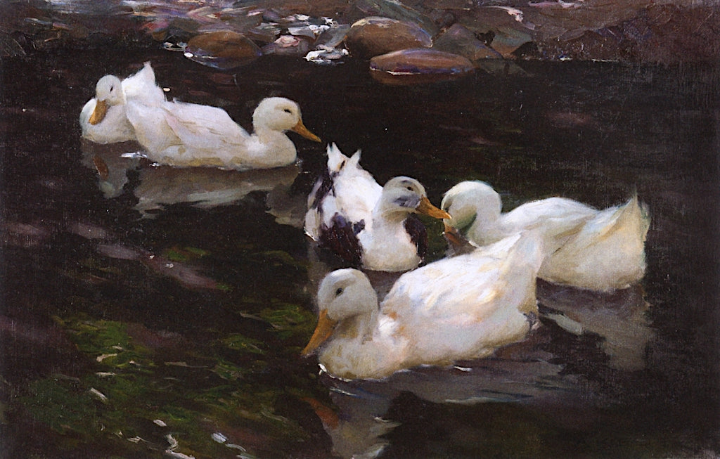 Five in the Pond by Alexander Koester,A3(16x12")Poster