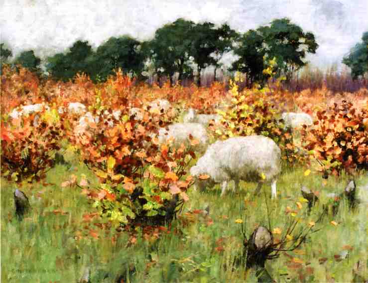 Grazing Sheep, vintage artwork by George Hitchcock, 12x8" (A4) Poster