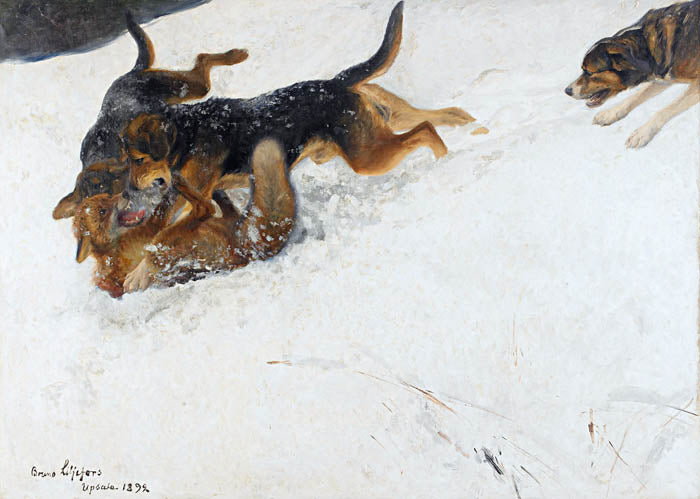 Hunting dogs and fox in winter landscape by Bruno Liljefors,A3(16x12")Poster