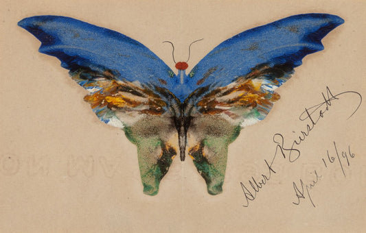 Blue Butterfly, vintage artwork by Albert Bierstadt, 12x8" (A4) Poster