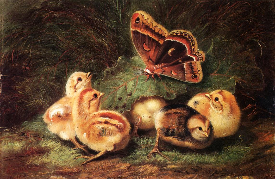 Young Chickens, vintage artwork by Arthur Fitzwilliam Tait, A3 (16x12") Poster Print