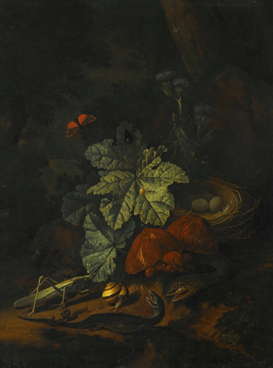 A Forest Floor Still Life with a Snake, a Snail, a Grasshopper, a Worm, a Lizard, etc., vintage artwork by Elias van den Broeck, 12x8" (A4) Poster