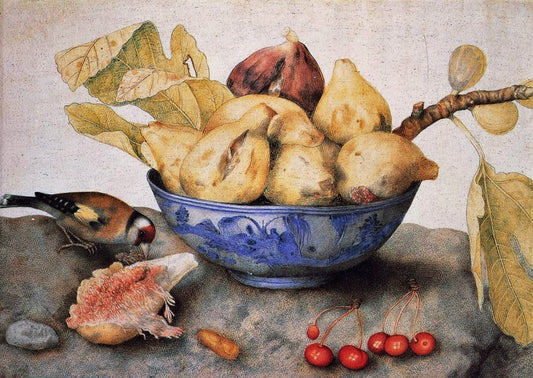 Chinese Bowl with Figs, Cherries, and a Bird, vintage artwork by Giovanna Garzoni, 12x8" (A4) Poster