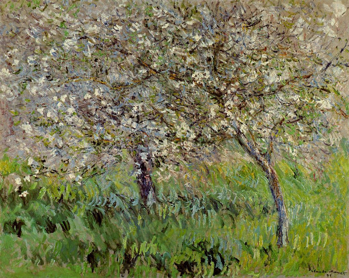 Apple Trees in Bloom at Giverny, vintage artwork by Claude Monet, 12x8