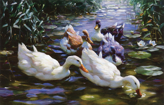 Five Ducks, vintage artwork by Alexander Koester, 12x8" (A4) Poster