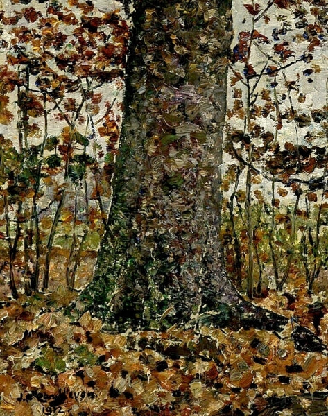 Treetrunk in a Forest in Autumn by Jan Zandleven,A3(16x12")Poster