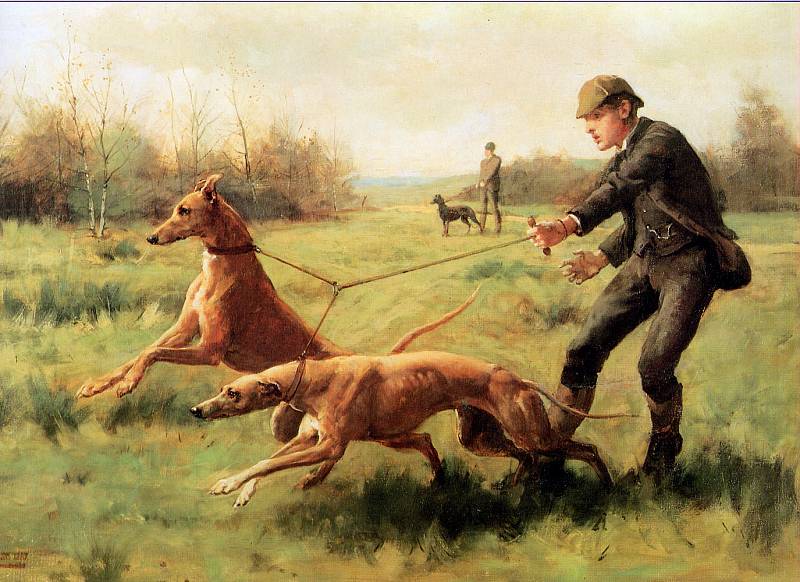 Exercising Greyhounds, vintage artwork by George Goodwin Kilburne, 12x8" (A4) Poster