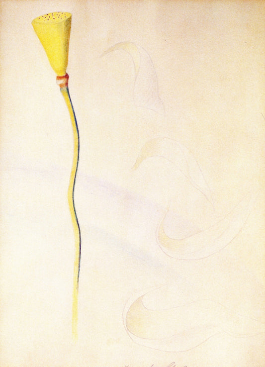 A Flower with Fallen Petals (study for  by Joseph Stella,16x12(A3) Poster