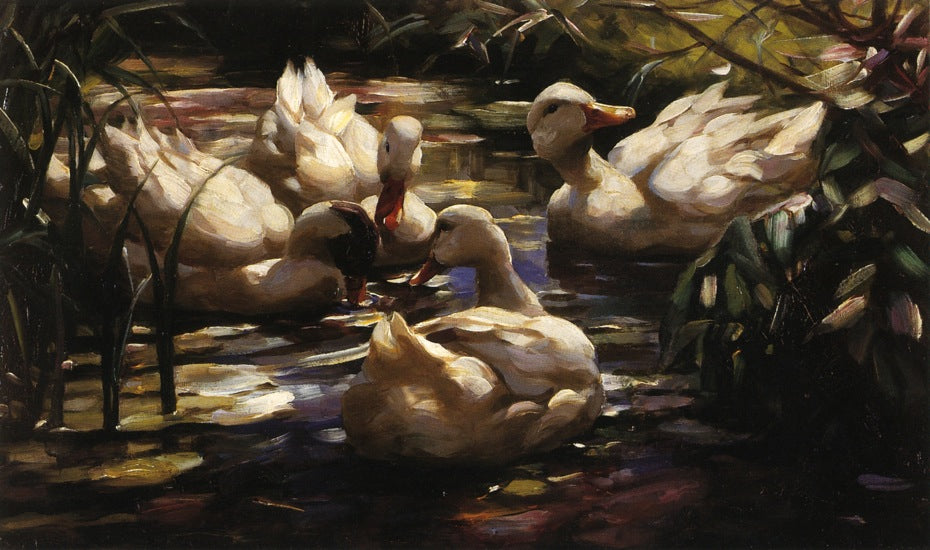 Ducks in a Forest Pond, vintage artwork by Alexander Koester, 12x8" (A4) Poster