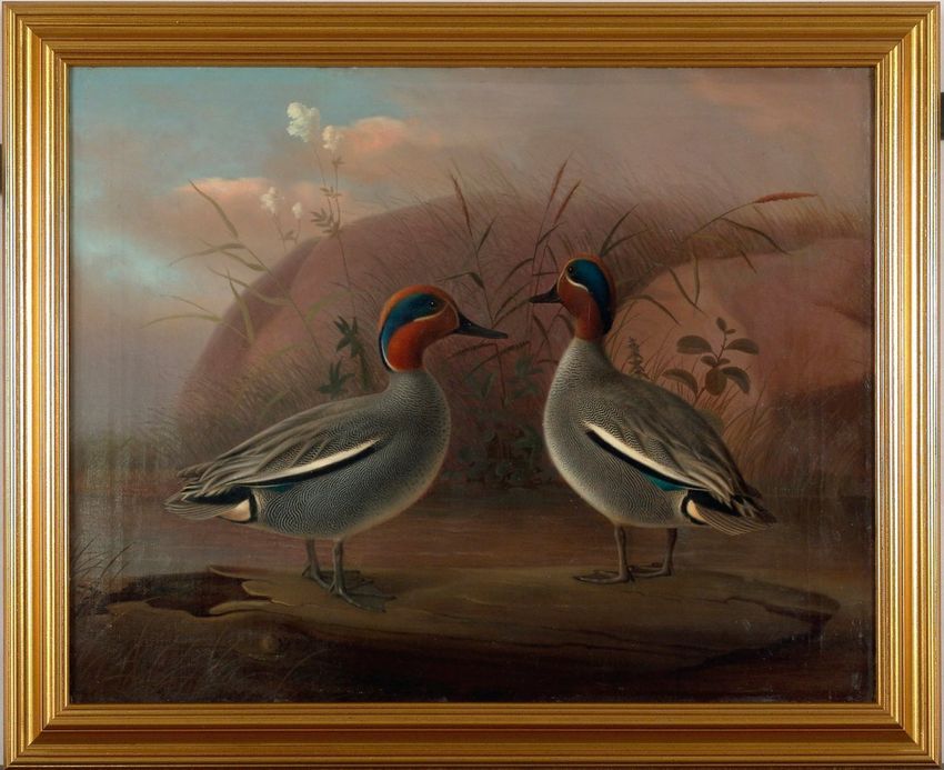 Two Male Teals by  the Water, vintage artwork by Ferdinand von Wright, 12x8" (A4) Poster