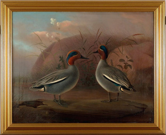 Two Male Teals by  the Water, vintage artwork by Ferdinand von Wright, 12x8" (A4) Poster