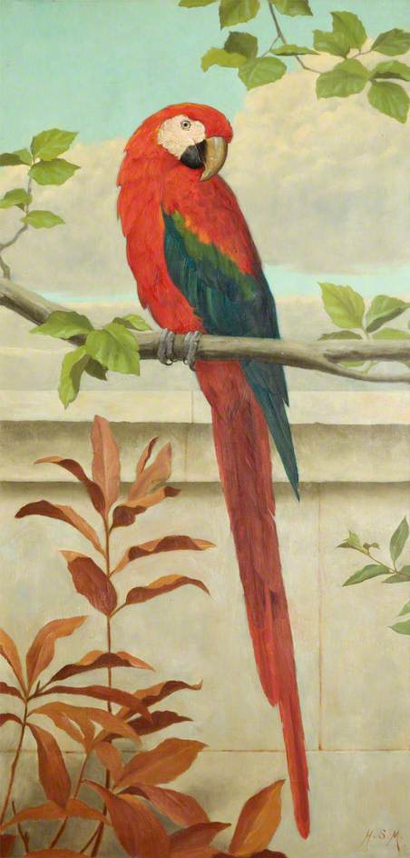 Red and Blue Macaw, vintage artwork by Henry Stacy Marks, 12x8" (A4) Poster