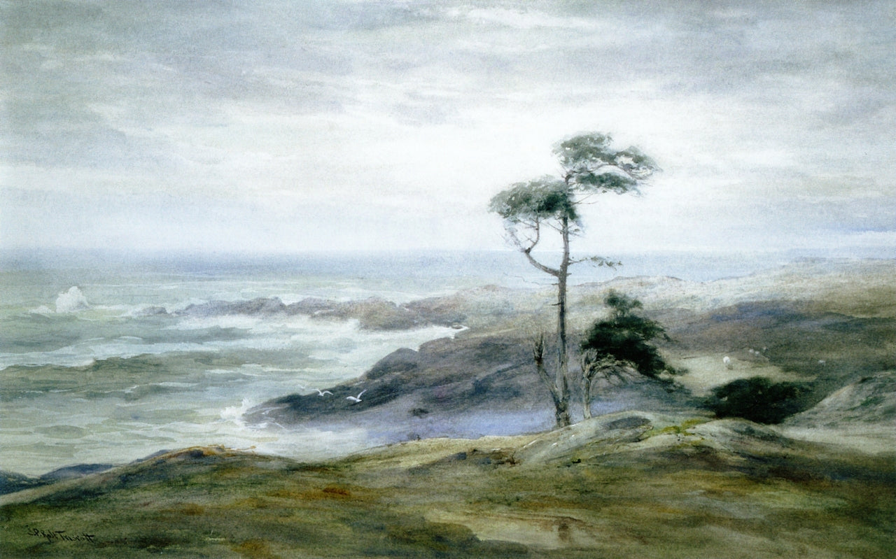Lone Tree, Monhegan Island, vintage artwork by Samuel P. R. Triscott, 12x8" (A4) Poster