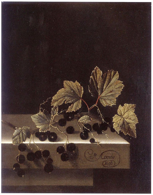 Black Currants, vintage artwork by Adriaen Coorte, 12x8" (A4) Poster