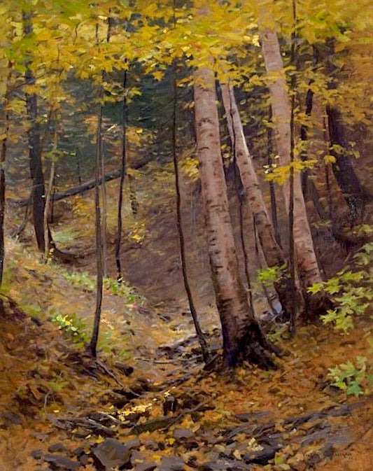Brook Bed by Victor Coleman Anderson,16x12(A3) Poster
