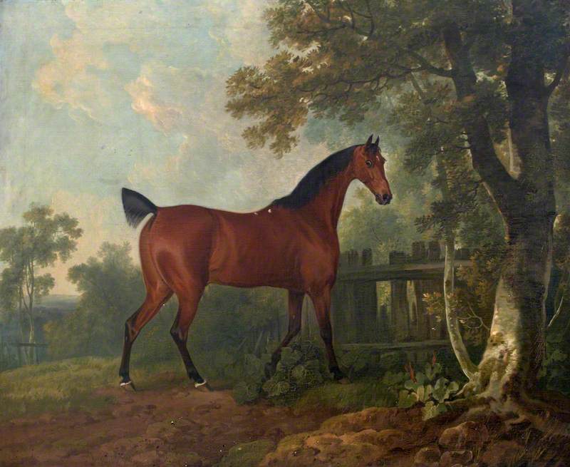 Amaranth, the Property of A. B. St Leger, Esq., vintage artwork by Attributed to Sawrey Gilpin, 12x8" (A4) Poster