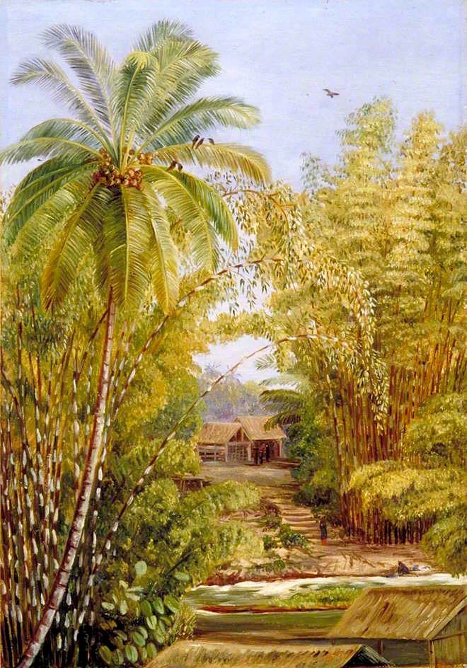 Bamboos and Cocoanut Palm, vintage artwork by Marianne North, 12x8" (A4) Poster