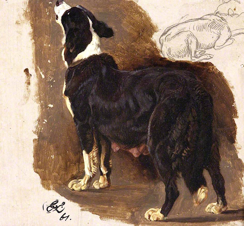 Collie Bitch, vintage artwork by Sir Edwin Landseer, A3 (16x12") Poster Print