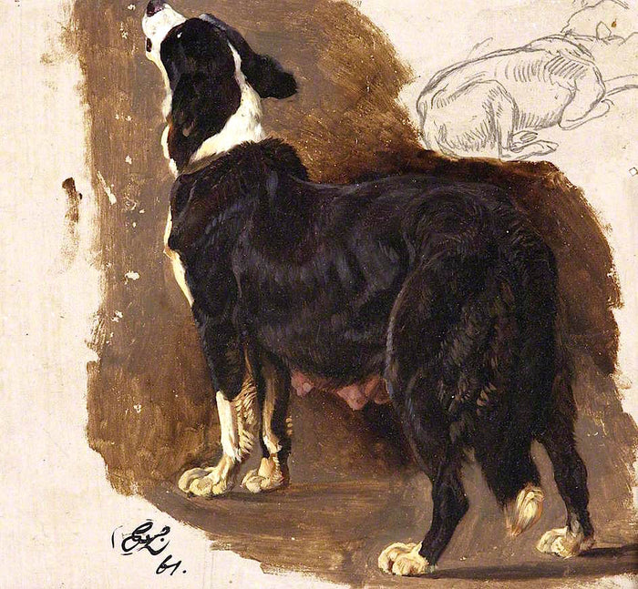 Collie Bitch, vintage artwork by Sir Edwin Landseer, A3 (16x12