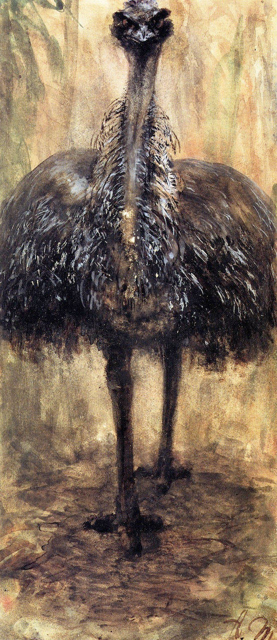 Cassowary, vintage artwork by Adolph von Menzel, A3 (16x12") Poster Print