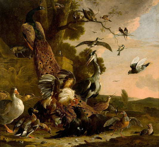 The Raven Robbed of the Feathers He Wore to Adorn Himself, vintage artwork by Melchior d'Hondecoeter, 12x8" (A4) Poster