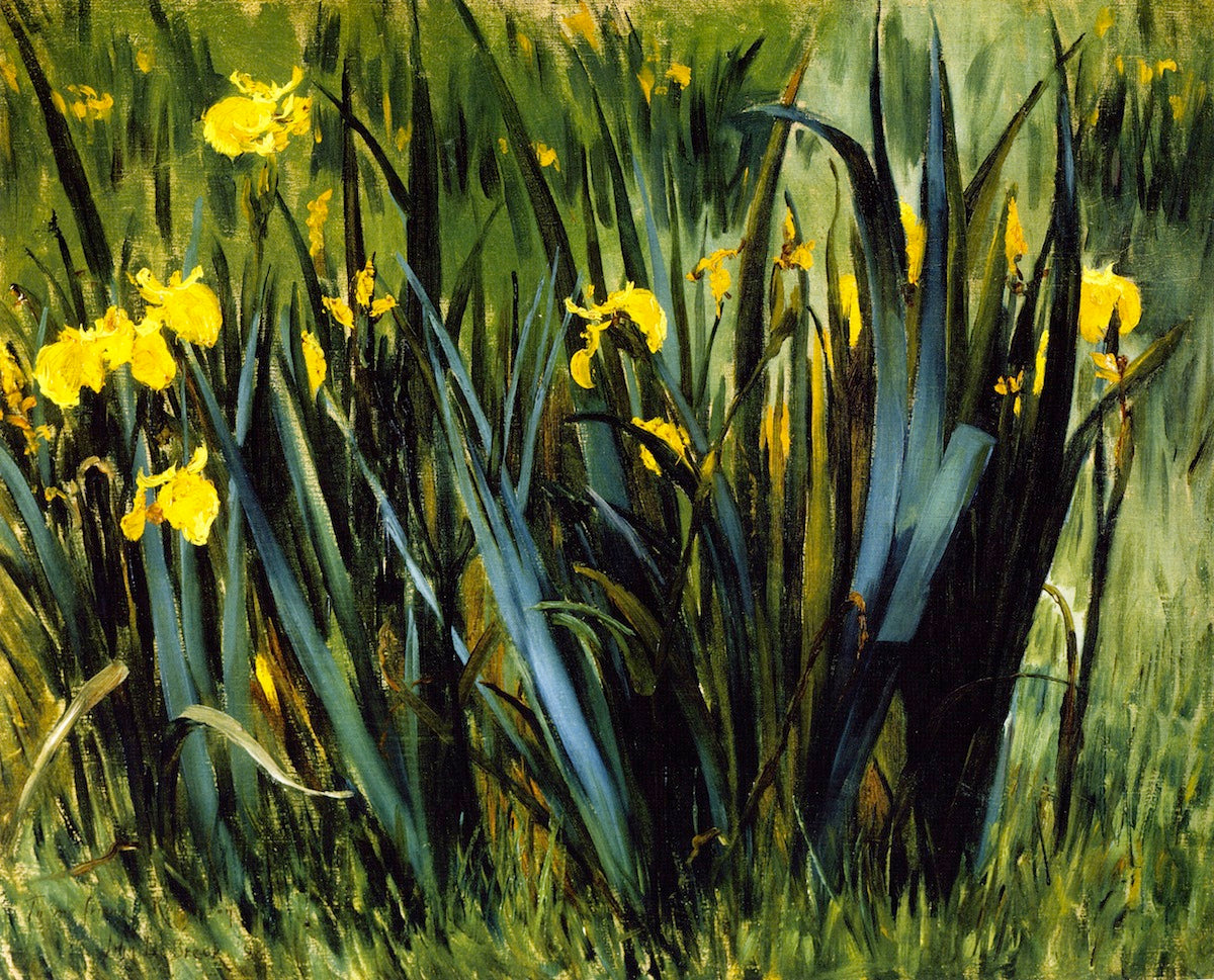 Yellow Fleurs-de-Lis, vintage artwork by John Leslie Breck, 12x8" (A4) Poster