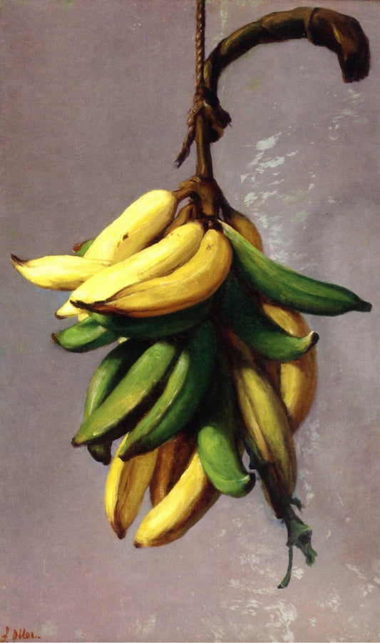 Yellow Plantains, vintage artwork by Francisco Oller, 12x8" (A4) Poster