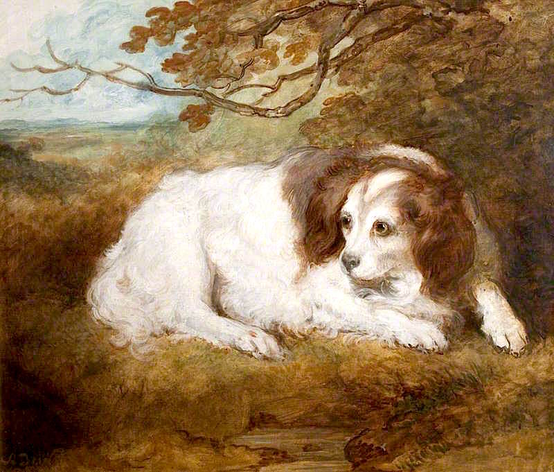 The Dog Dido, vintage artwork by Arthur William Devis, 12x8" (A4) Poster