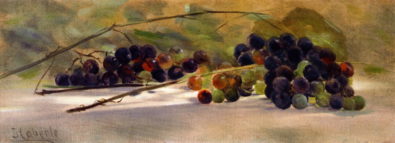 Grapes on a Ledge, vintage artwork by John Haberle, 12x8" (A4) Poster