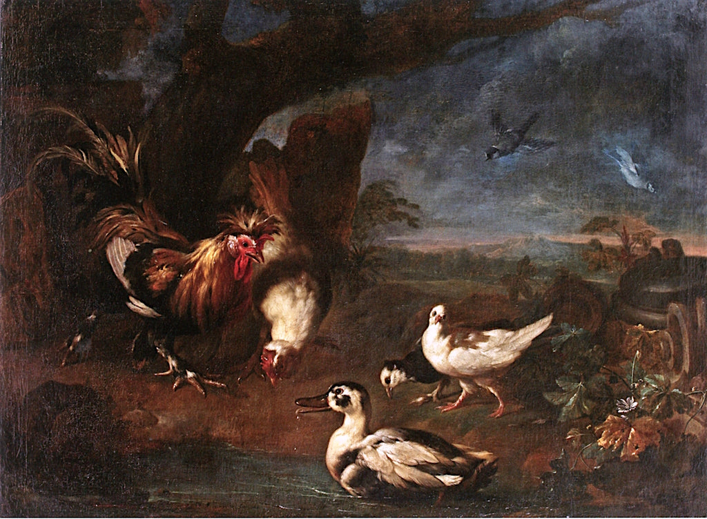 A Cockerel with Ducks in a Landscape, vintage artwork by Franz Werner von Tamm, 12x8" (A4) Poster