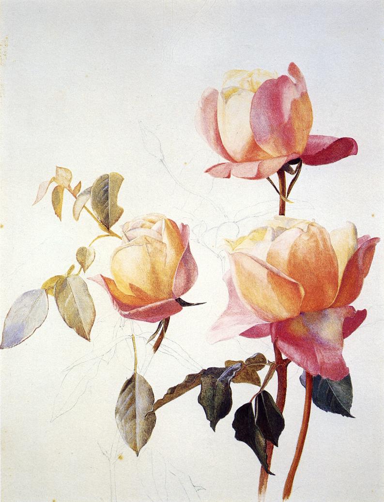 Florentine Roses, vintage artwork by Henry Roderick Newman, 12x8" (A4) Poster