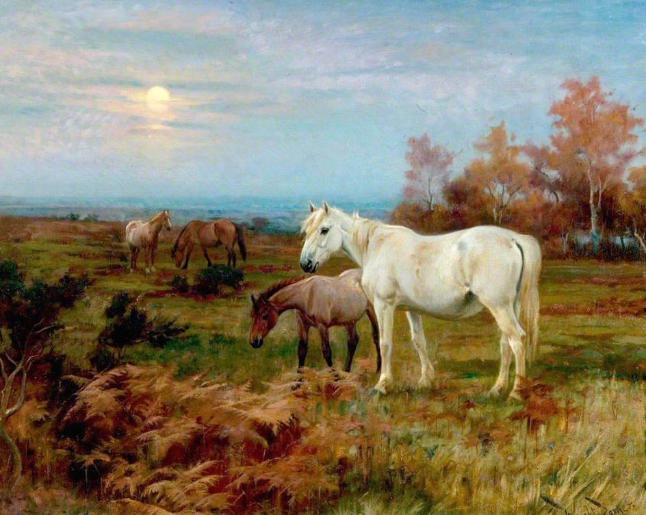 Horses in a Paddock, vintage artwork by Wright Barker, 12x8" (A4) Poster